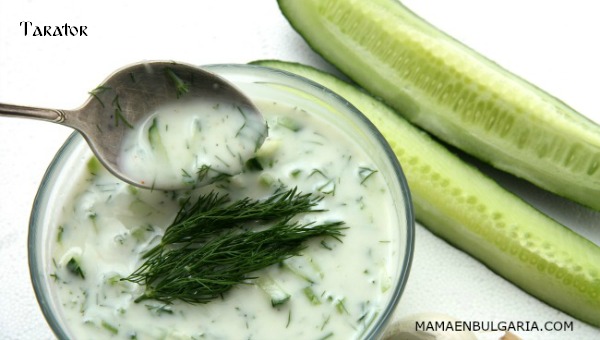 Bulgarian traditional yougurt cold soup "Tarator " with dill and cucumbers